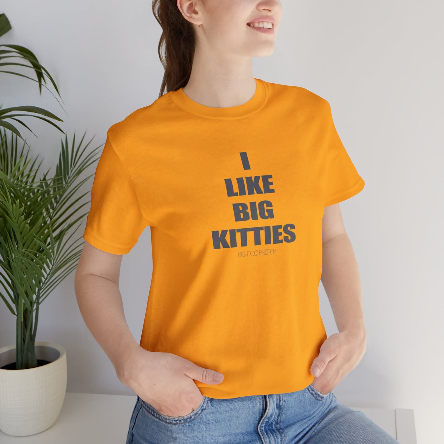 I Like Big Kitties | Unisex Jersey Short Sleeve Tee
