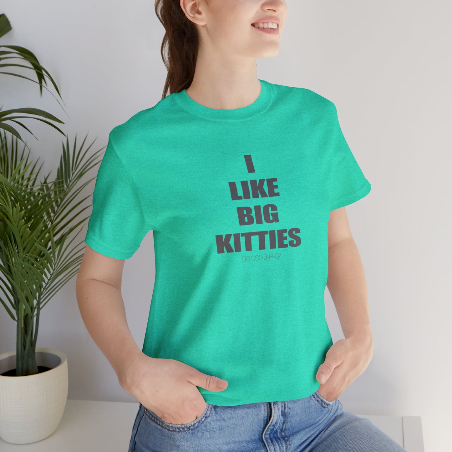 I Like Big Kitties | Unisex Jersey Short Sleeve Tee