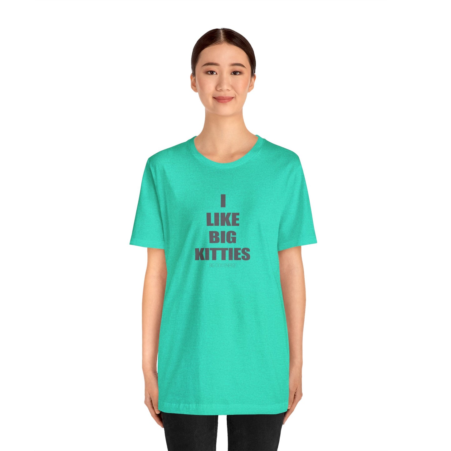 I Like Big Kitties | Unisex Jersey Short Sleeve Tee