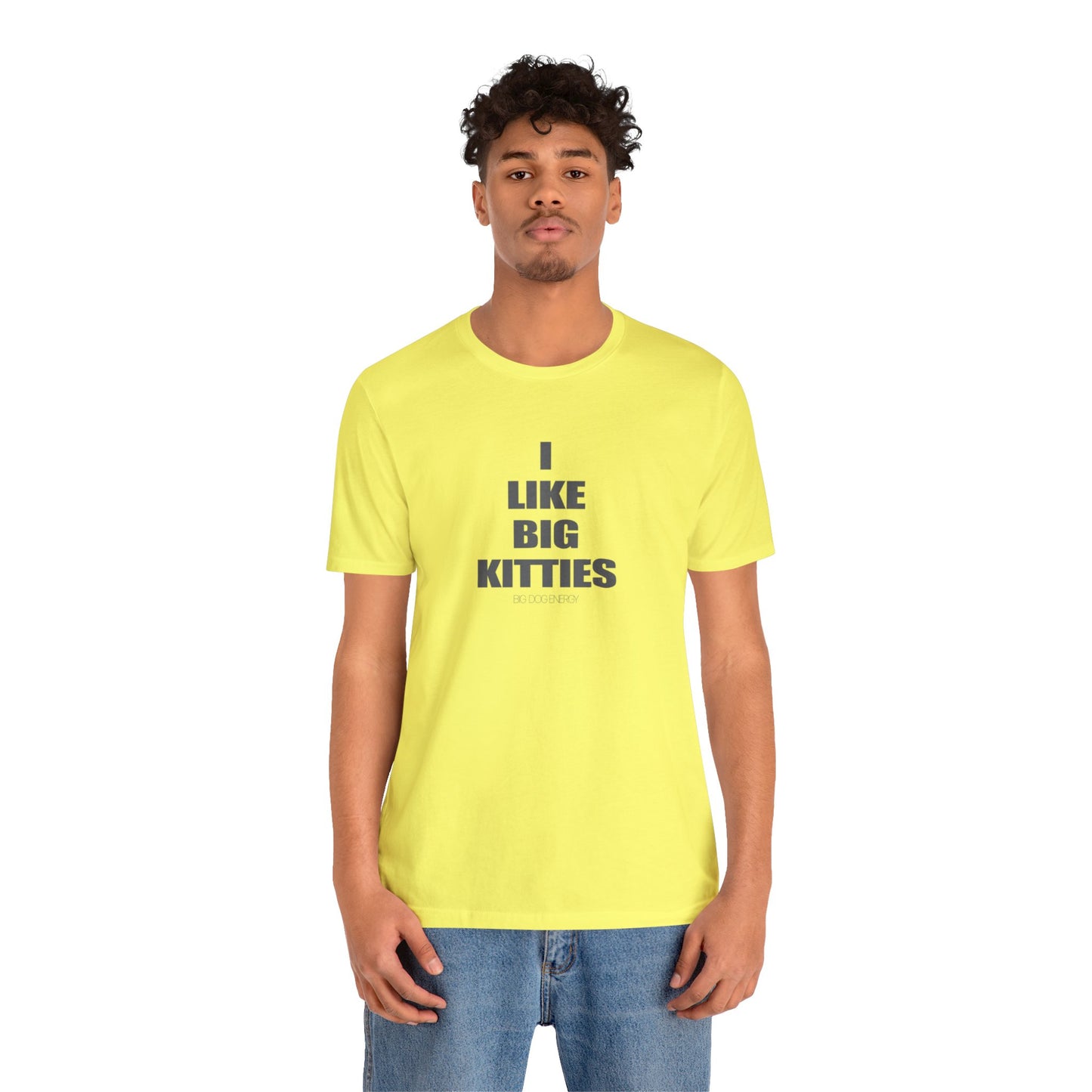 I Like Big Kitties | Unisex Jersey Short Sleeve Tee