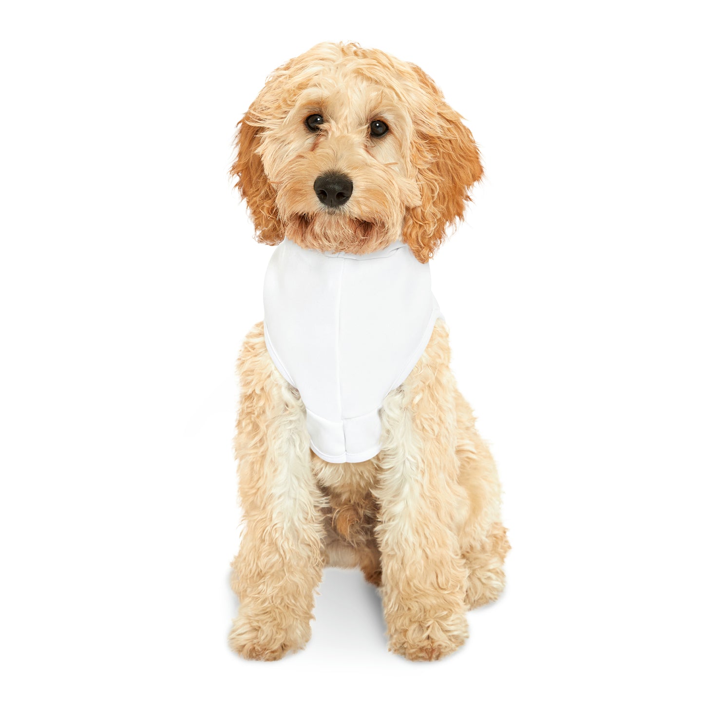 Big Dog Energy Pet Hoodie | White