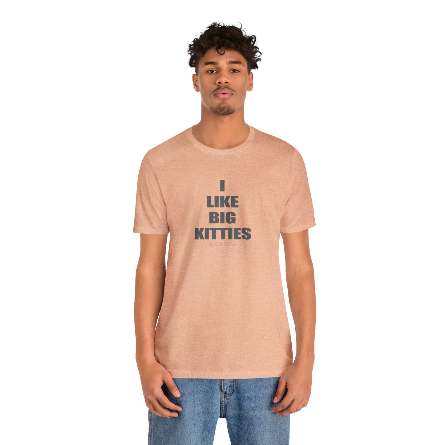I Like Big Kitties | Unisex Jersey Short Sleeve Tee