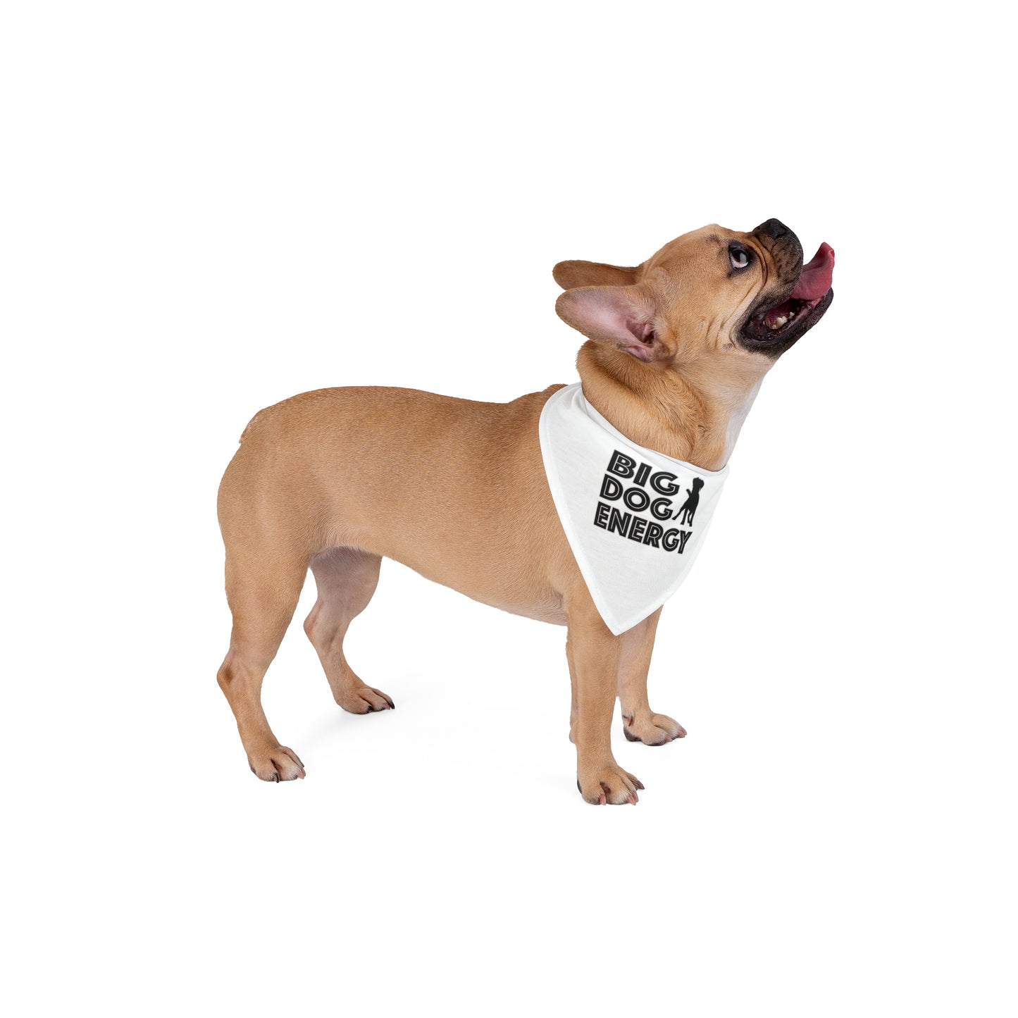 Big Dog Energy Pet Bandana