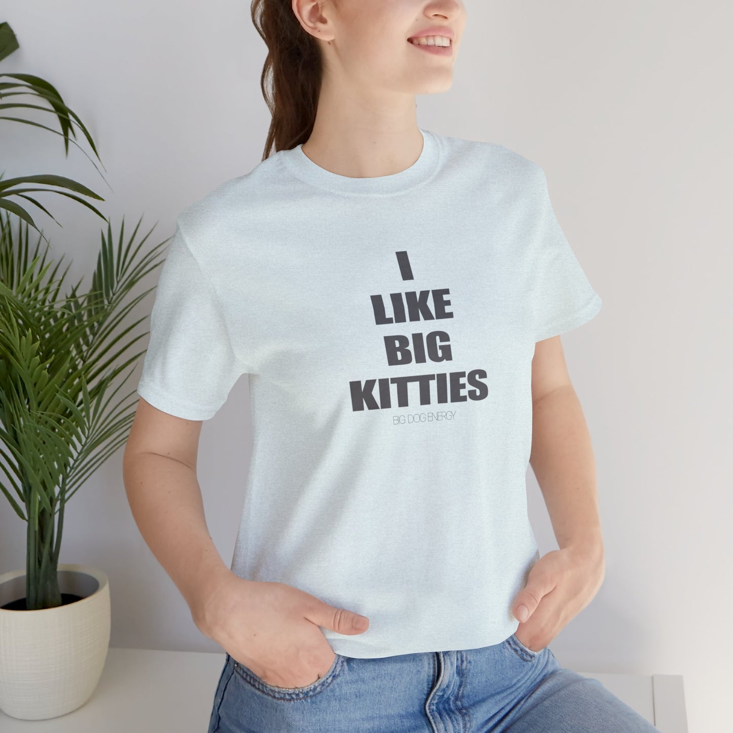 I Like Big Kitties | Unisex Jersey Short Sleeve Tee