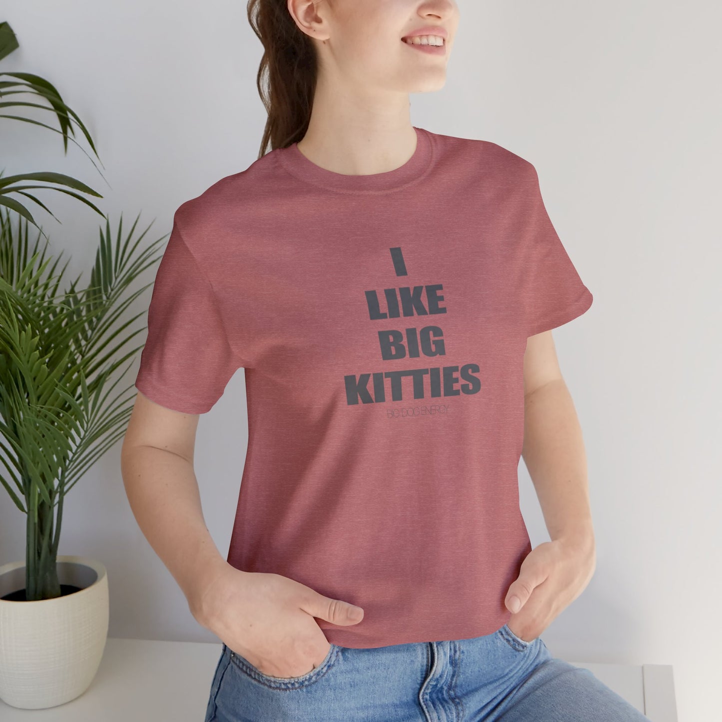I Like Big Kitties | Unisex Jersey Short Sleeve Tee