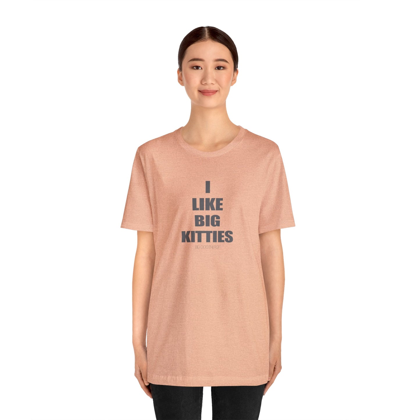 I Like Big Kitties | Unisex Jersey Short Sleeve Tee