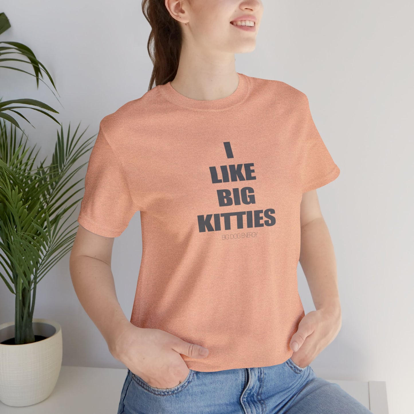 I Like Big Kitties | Unisex Jersey Short Sleeve Tee