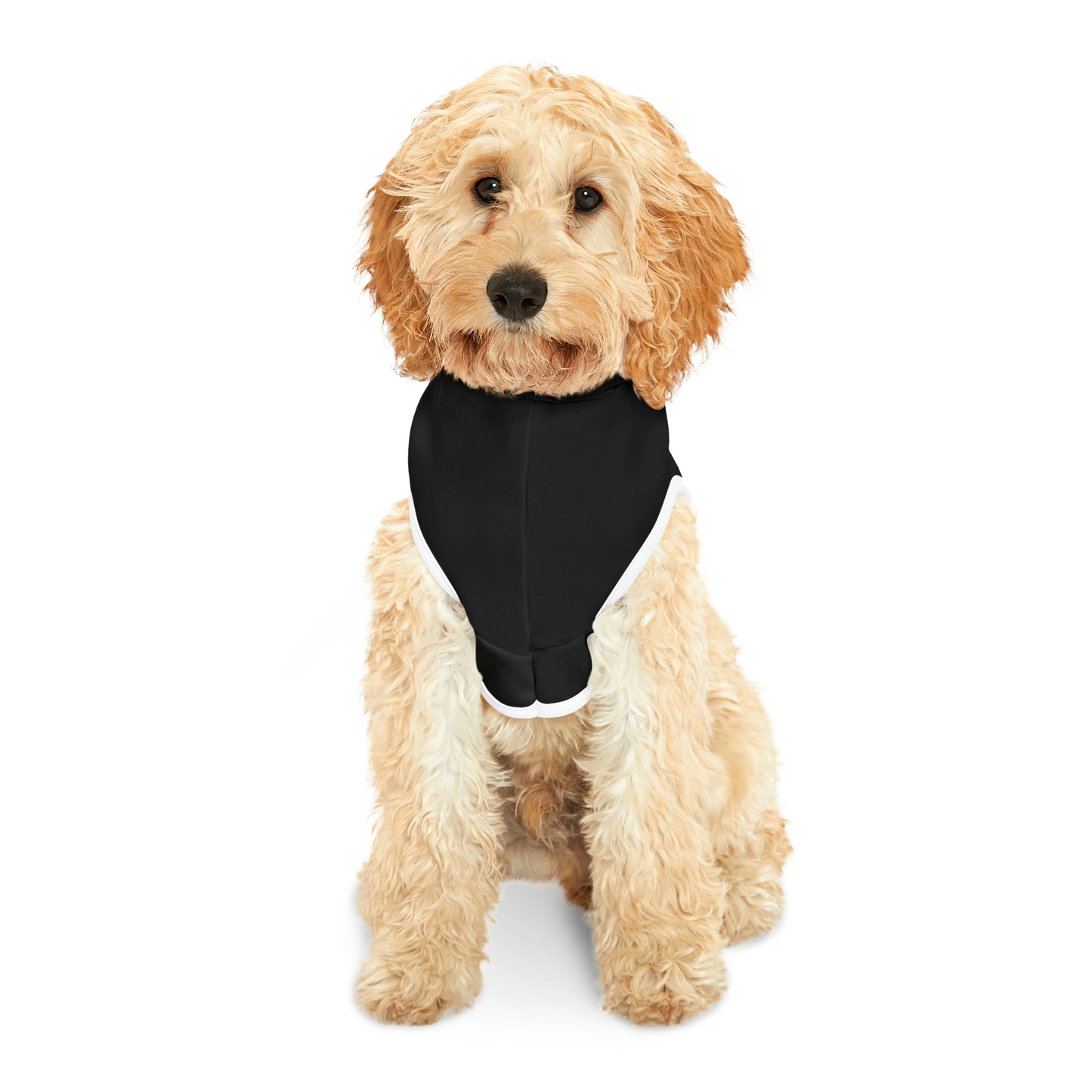 Big Dog Energy Pet Hoodie | Black & White