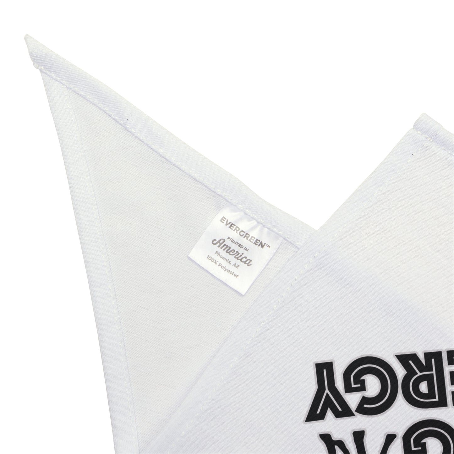 Big Dog Energy Pet Bandana