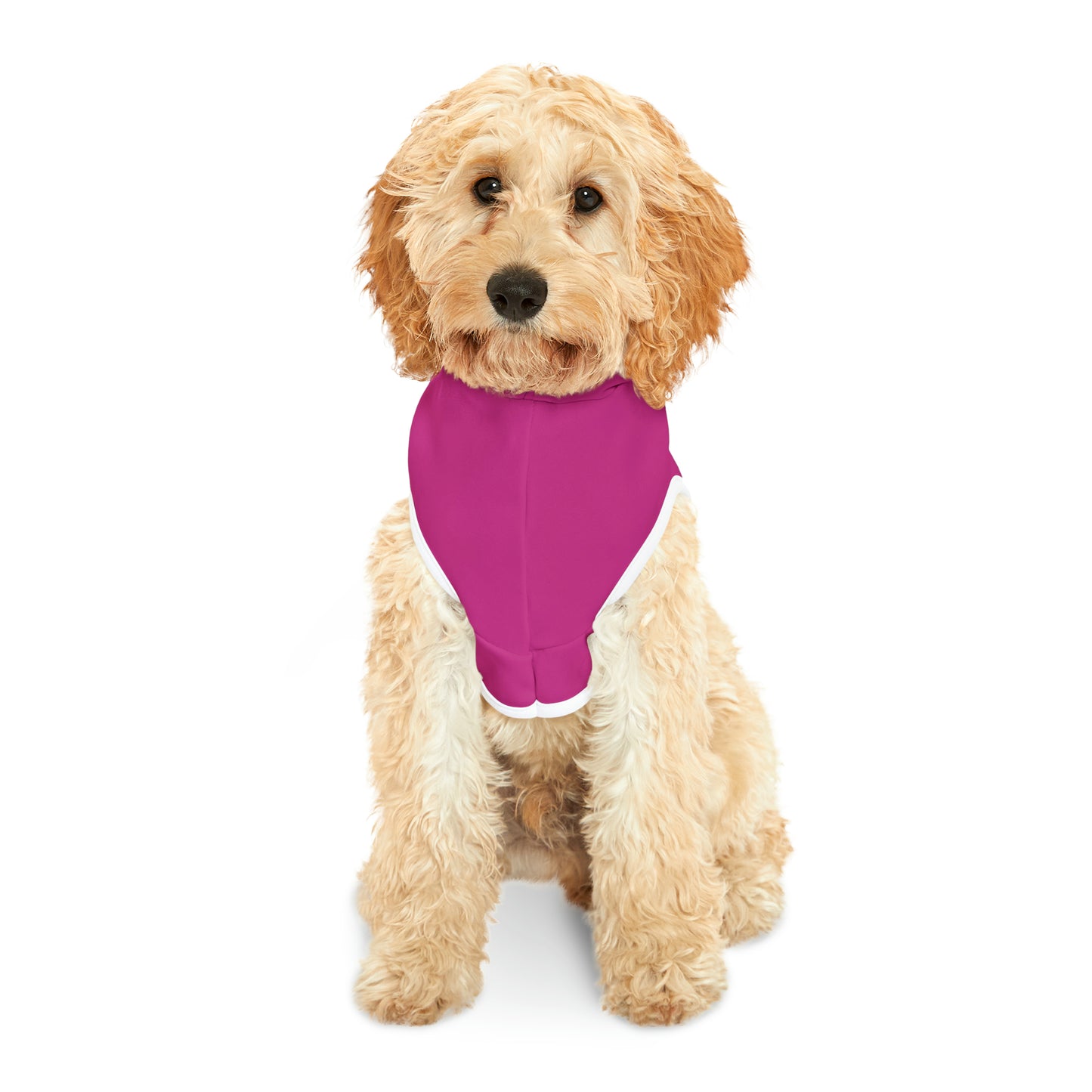 Big Dog Energy Pet Hoodie | Hot Pink